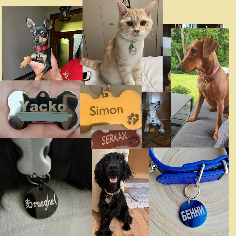 Personalized Pet ID Tag Keychain